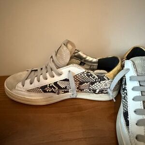 P448 size 37